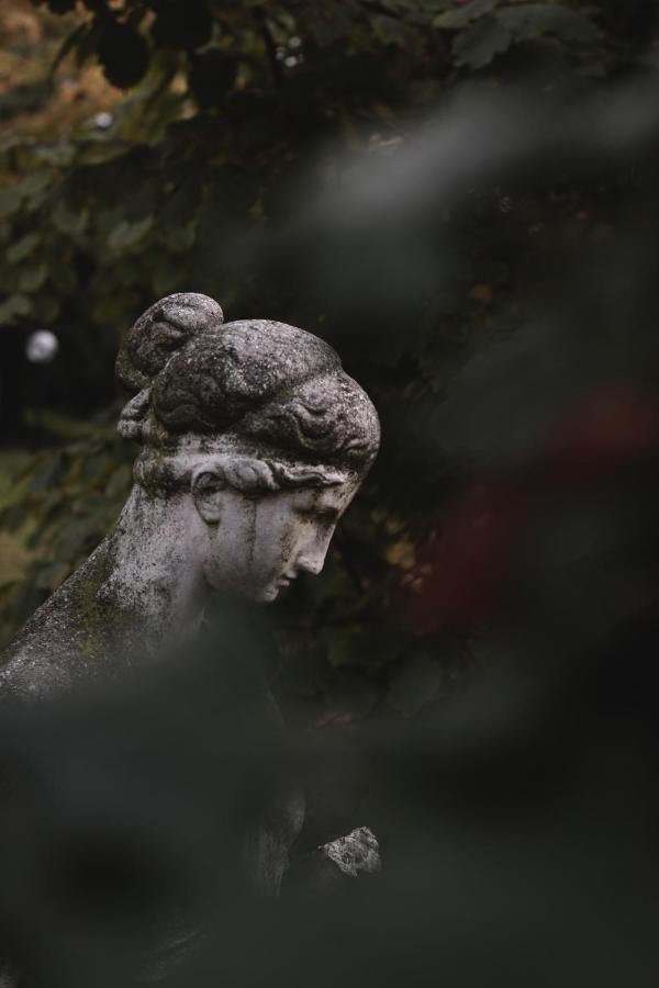 San Martino in Rio Locanda San Martino المظهر الخارجي الصورة